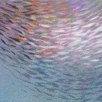 ''Fish nr13''21x30cm acrylic on bristol