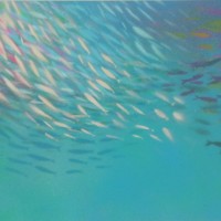 ''Fish nr9'' 21x30cmacrylic on bristol